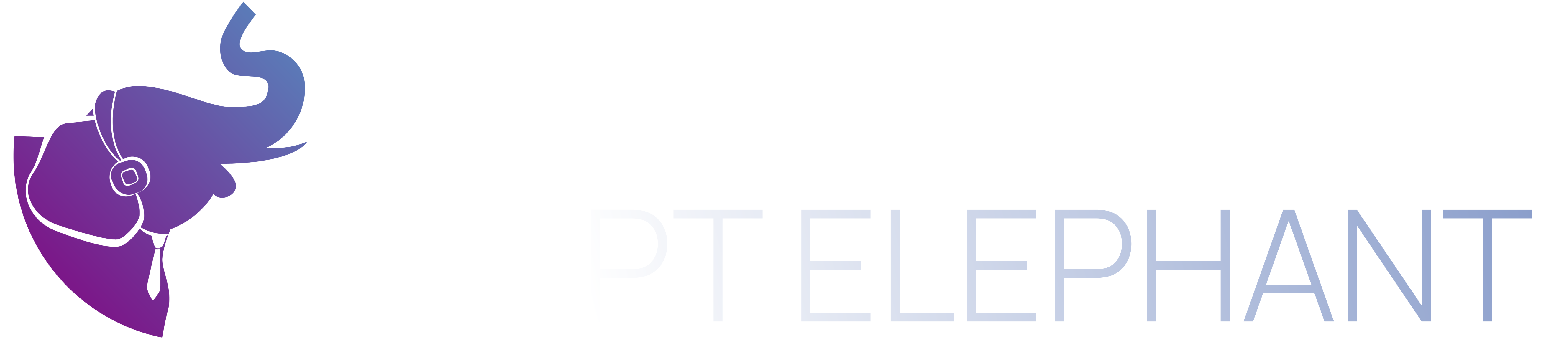 Script Elephant logo